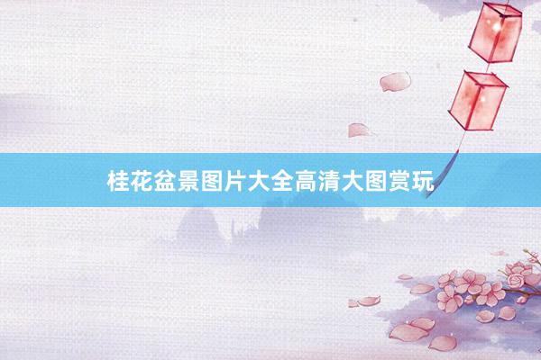 桂花盆景图片大全高清大图赏玩