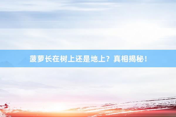 菠萝长在树上还是地上？真相揭秘！